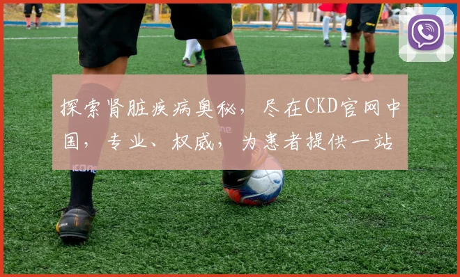 探索肾脏疾病奥秘，尽在CKD官网中国，专业、权威，为患者提供一站式服务