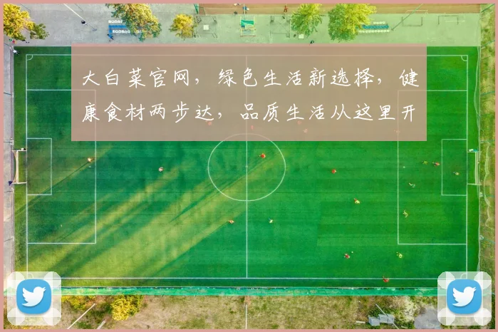大白菜官网，绿色生活新选择，健康食材两步达，品质生活从这里开始，