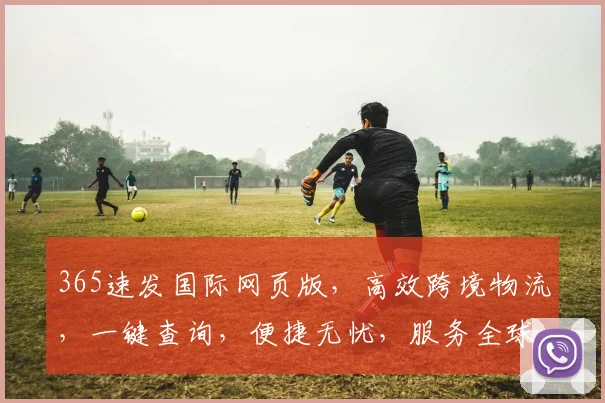 365速发国际网页版，高效跨境物流，一键查询，便捷无忧，服务全球