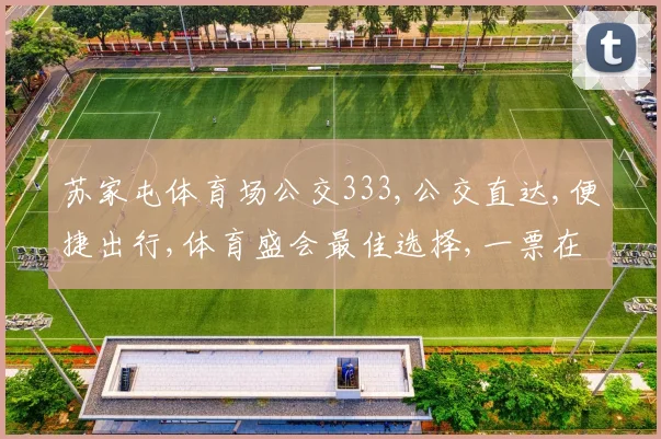 苏家屯体育场公交333,公交直达,便捷出行,体育盛会最佳选择,一票在手,畅享运动盛宴。