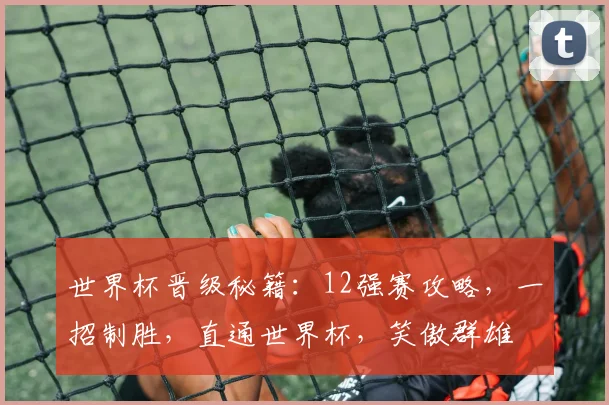 世界杯晋级秘籍：12强赛攻略，一招制胜，直通世界杯，笑傲群雄